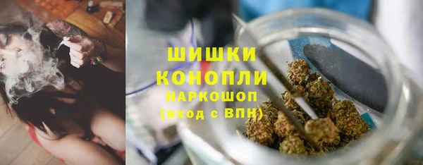 экстази Ельня