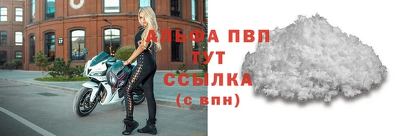 PSILOCYBIN Елабуга
