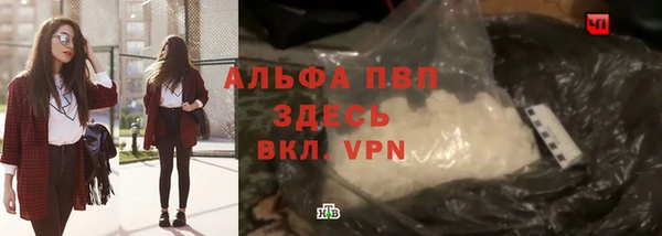 PSILOCYBIN Елабуга