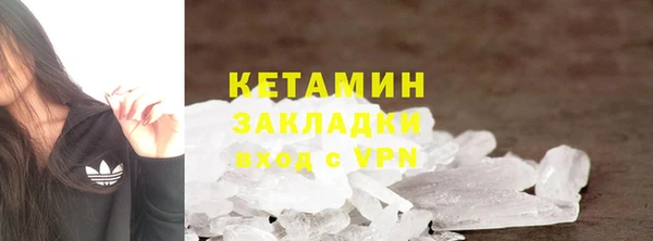 трава Тавда