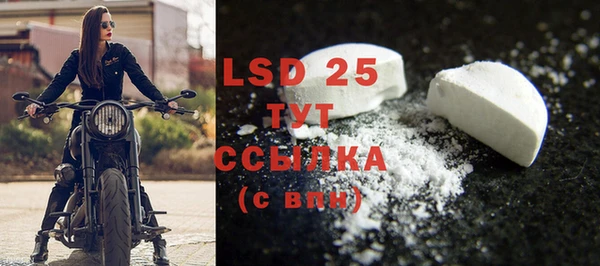 PSILOCYBIN Елабуга