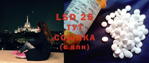 PSILOCYBIN Елабуга